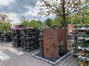 OBI Markt Aichach-Ecknach - Rasenteppich