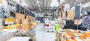 OBI Markt Alfter - GALLERY