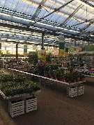 OBI Markt Alfter - OBI Badplaner Alfter