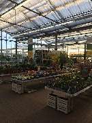 OBI Markt Alfter - OBI BBQ & Grillwelt Alfter