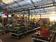 OBI Markt Alfter - OBI Gartencenter Alfter