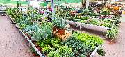 OBI Markt Alfter - OBI Holzzuschnitt-Service Alfter