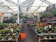 OBI Markt Altenburg - OBI Windischleuba Kalthalle