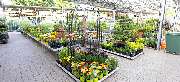 OBI Markt Arnsberg - GALLERY