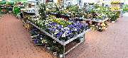 OBI Markt Arnsberg - GALLERY