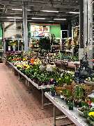 OBI Markt Arnsberg - OBI Gartencenter Arnsberg