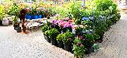 OBI Markt Bad Hersfeld - OBI Gartencenter Bad Hersfeld