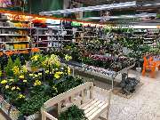 OBI Markt Bad Oeynhausen - Weber Ausstellung