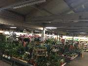 OBI Markt Bannewitz bei Dresden - Gartenabteilung