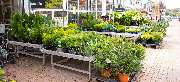 OBI Markt Bannewitz bei Dresden - OBI Gartencenter Bannewitz bei Dresden
