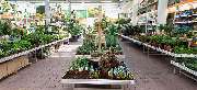 OBI Markt Berlin-Siemensstadt - OBI Gartencenter Berlin-Siemensstadt