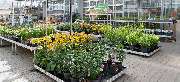 OBI Markt Berlin-Siemensstadt - OBI Gartencenter Berlin-Siemensstadt