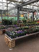 OBI Markt Berlin-Spandau - Create by Obi