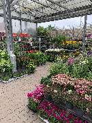 OBI Markt Berlin-Steglitz - GALLERY