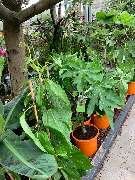 OBI Markt Berlin-Steglitz - GALLERY