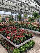 OBI Markt Berlin-Steglitz - GALLERY