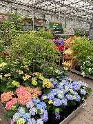 OBI Markt Berlin-Steglitz - GALLERY