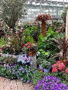 OBI Markt Berlin-Steglitz - GALLERY