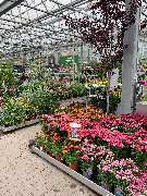 OBI Markt Berlin-Steglitz - GALLERY