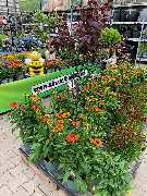 OBI Markt Berlin-Steglitz - GALLERY