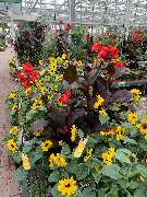 OBI Markt Berlin-Steglitz - GALLERY