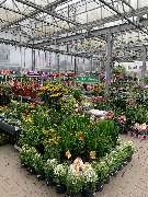 OBI Markt Berlin-Steglitz - GALLERY