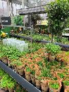 OBI Markt Berlin-Steglitz - GALLERY