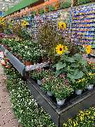 OBI Markt Berlin-Steglitz - GALLERY