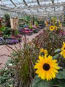 OBI Markt Berlin-Steglitz - GALLERY