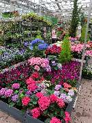 OBI Markt Berlin-Steglitz - GALLERY