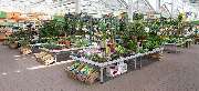 OBI Markt Berlin-Steglitz - GALLERY