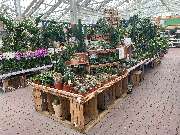 OBI Markt Berlin-Steglitz - OBI Markt-Eingang Berlin-Steglitz