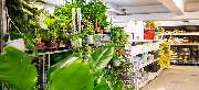OBI Markt Berlin-Wedding - OBI Gartencenter Berlin-Wedding