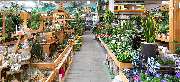 OBI Markt Berlin-Weißensee - OBI Gartencenter Berlin-Weißensee