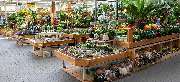 OBI Markt Berlin-Weißensee - OBI Gartencenter Berlin-Weißensee