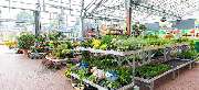 OBI Markt Biberach - OBI Gartencenter Biberach