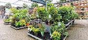 OBI Markt Biberach - OBI Gartencenter Biberach
