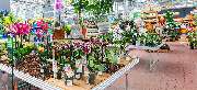 OBI Markt Biberach - OBI Gartencenter Biberach