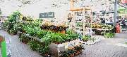 OBI Markt Bitterfeld - OBI Gartencenter Bitterfeld