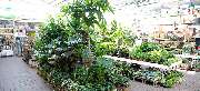 OBI Markt Bitterfeld - OBI Gartencenter Bitterfeld