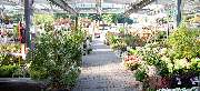 OBI Markt Bitterfeld - OBI Gartencenter Bitterfeld