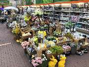 OBI Markt Bonn - GALLERY