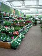 OBI Markt Bonn - GALLERY