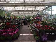 OBI Markt Bonn - OBI Gartencenter Bonn-Süd
