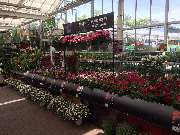 OBI Markt Bonn - OBI Gartencenter Bonn-Süd