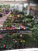 OBI Markt Bonn - OBI Küchenplaner Bonn-Süd