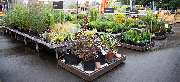 OBI Markt Borna - GALLERY