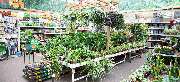 OBI Markt Borna - GALLERY