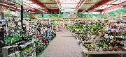 OBI Markt Borna - GALLERY