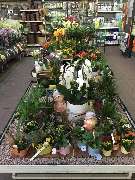 OBI Markt Borna - OBI Gartencenter Borna